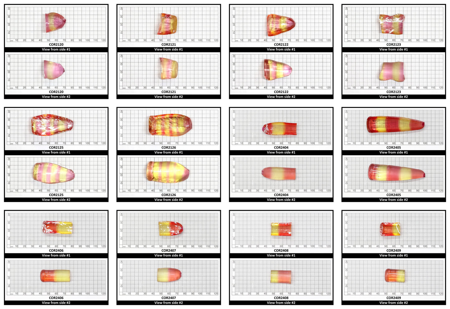 Yellow/Peach Bi-Color Lab Created Corundum Sapphire Faceting Rough for Gem Cutting - Various Sizes - Split Boule