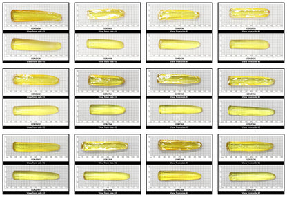 Yellow Topaz #20 Lab Created Corundum Sapphire Faceting Rough for Gem Cutting - Various Sizes - Split Boule