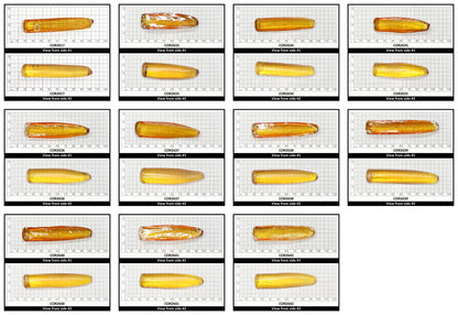 Yellow #21 Lab Created Corundum Sapphire Faceting Rough for Gem Cutting - Various Sizes - Split Boule