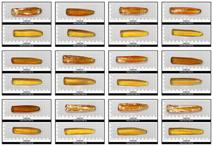 Yellow #21 Lab Created Corundum Sapphire Faceting Rough for Gem Cutting - Various Sizes - Split Boule