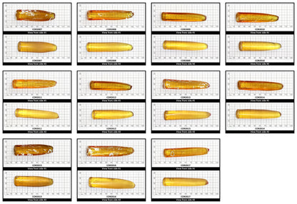 Yellow #21 Lab Created Corundum Sapphire Faceting Rough for Gem Cutting - Various Sizes - Split Boule