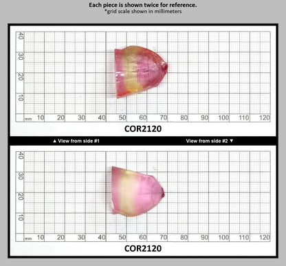 Yellow/Peach Bi-Color Lab Created Corundum Sapphire Faceting Rough for Gem Cutting - Various Sizes - Split Boule : COR2120