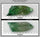 COR2969 - 130 grams - Grade D
