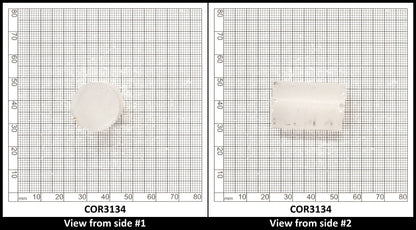 White Cylinders Lab Created Corundum Sapphire - Faceting Rough