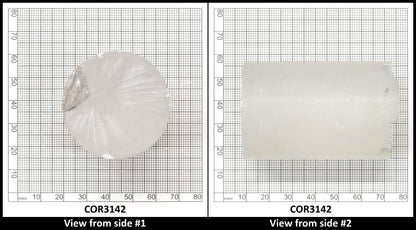 White Cylinders Lab Created Corundum Sapphire - Faceting Rough