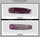 COR3186 - 38 grams