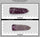 COR3188 - 38 grams