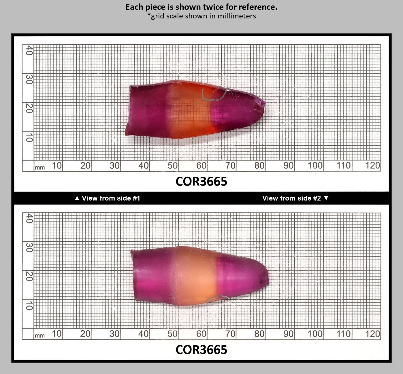 Sunrise/Purple Bi-Color #16/#65 Lab Created Corundum Sapphire Faceting Rough : COR3665