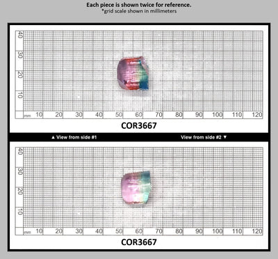 Paraiba/Peach Bi-Color #P/#18 Lab Created Corundum Sapphire Faceting Rough : COR3667