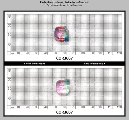 Paraiba/Peach Bi-Color #P/#18 Lab Created Corundum Sapphire Faceting Rough : COR3667
