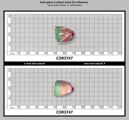 Sunrise/Green Bi-Color #16/#73 Lab Created Corundum Sapphire Faceting Rough : COR3747