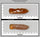 COR3924 - 34 grams