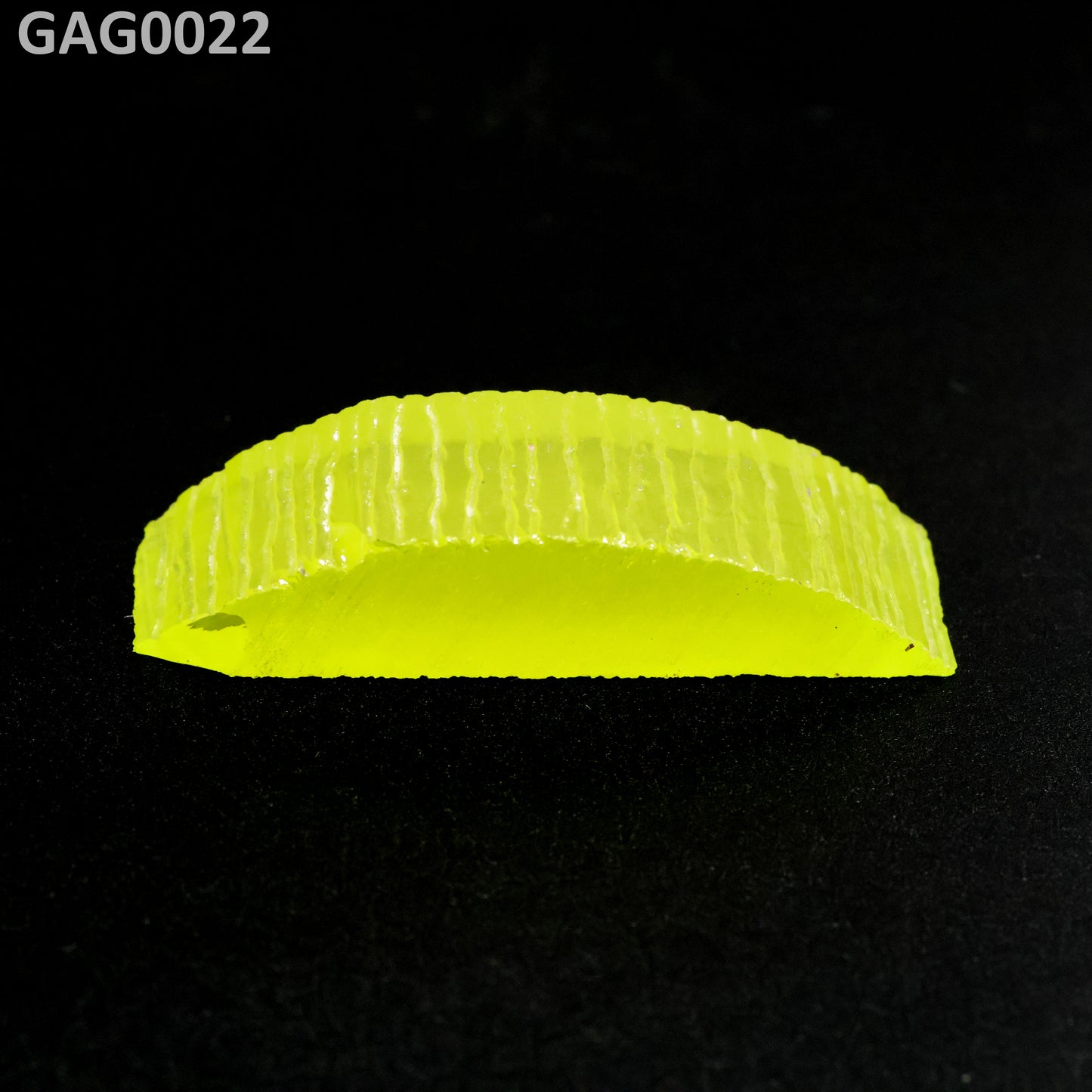 GAGG : GAG0022