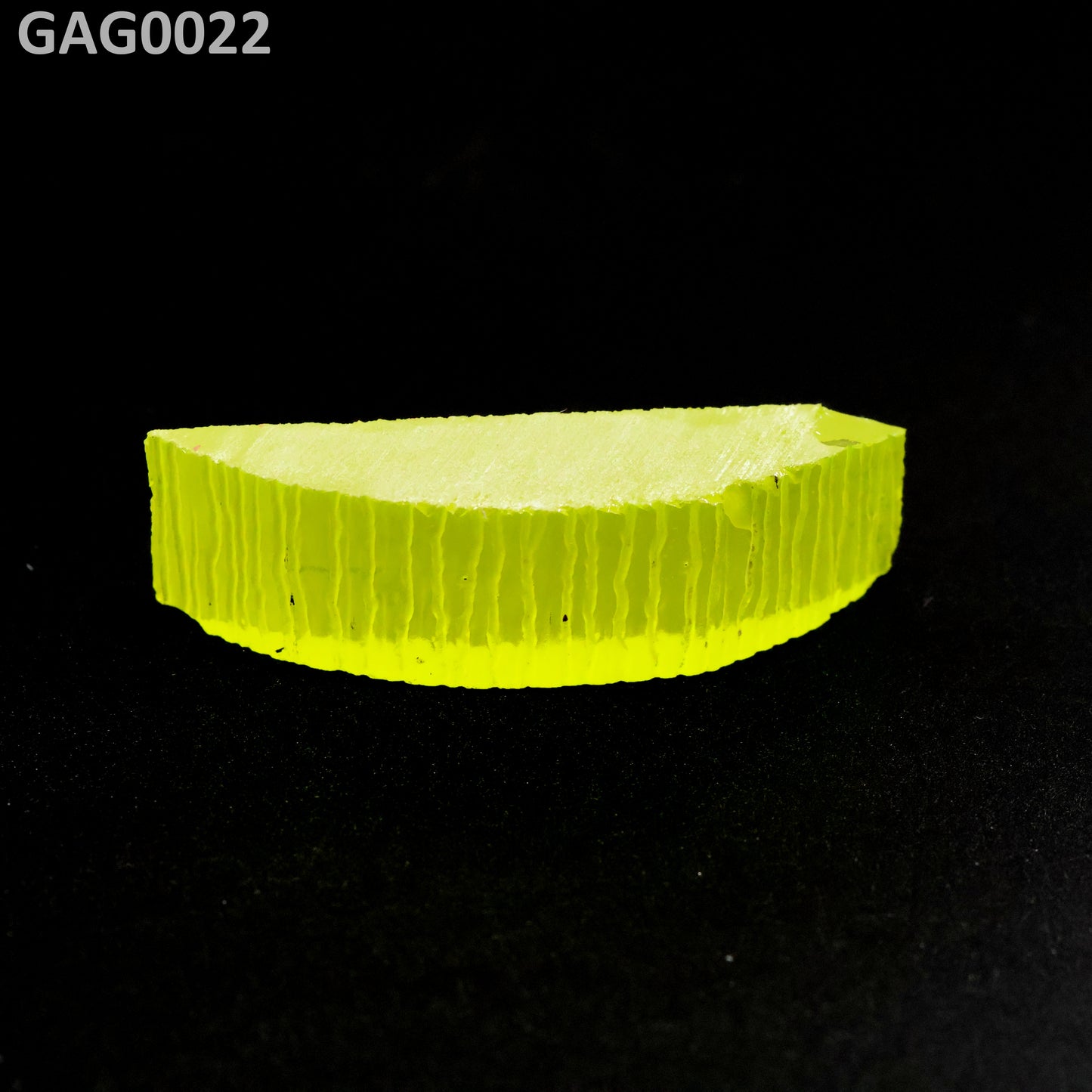 GAGG : GAG0022