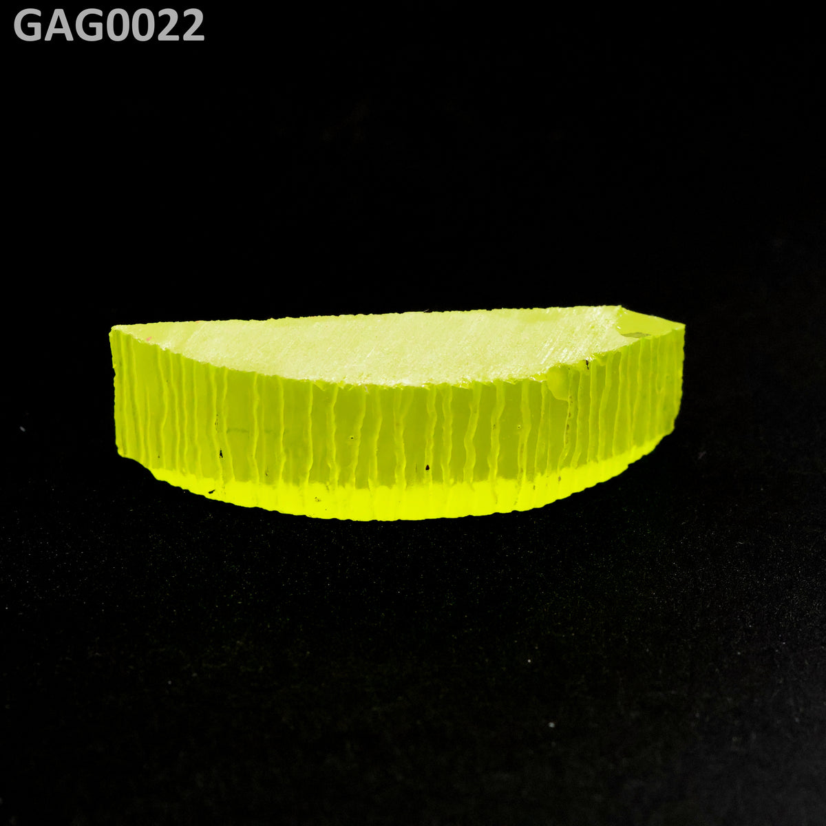 GAGG : GAG0022
