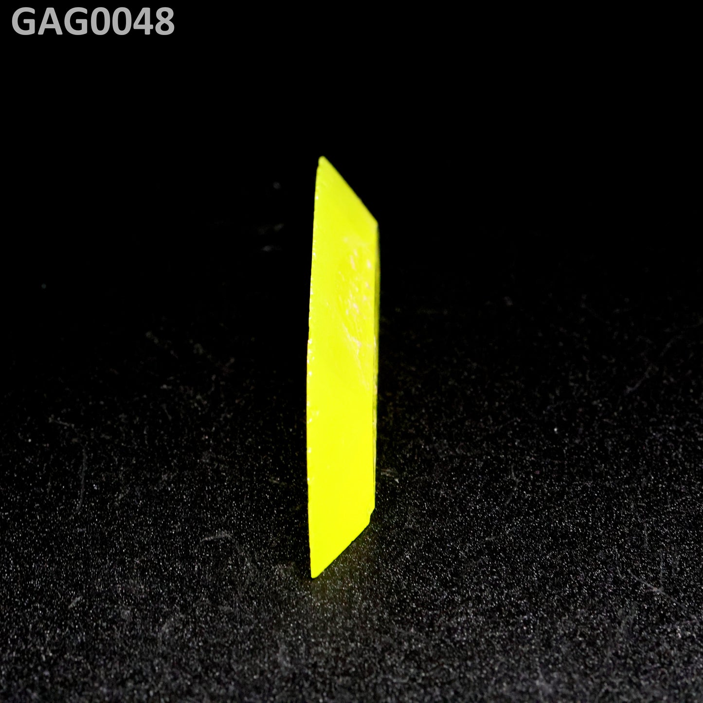 GAGG : GAG0048