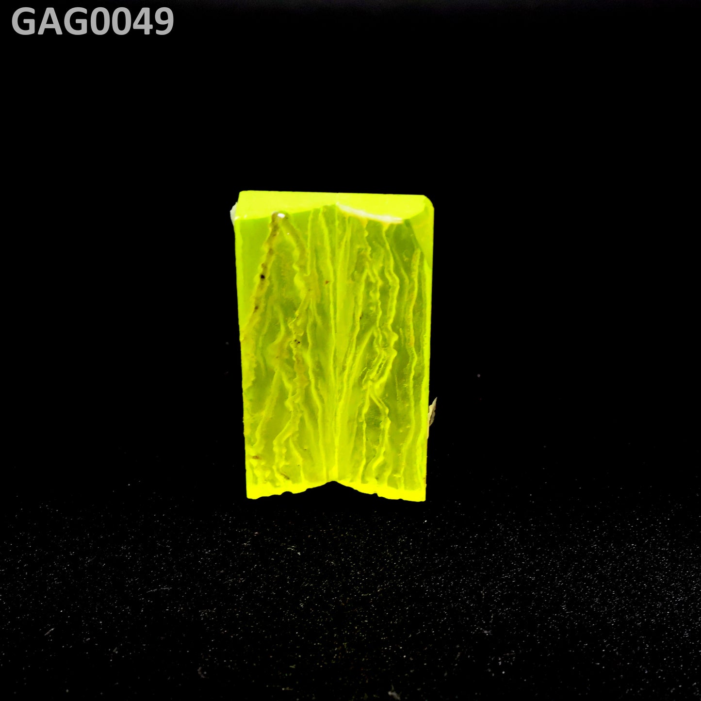 GAGG : GAG0049