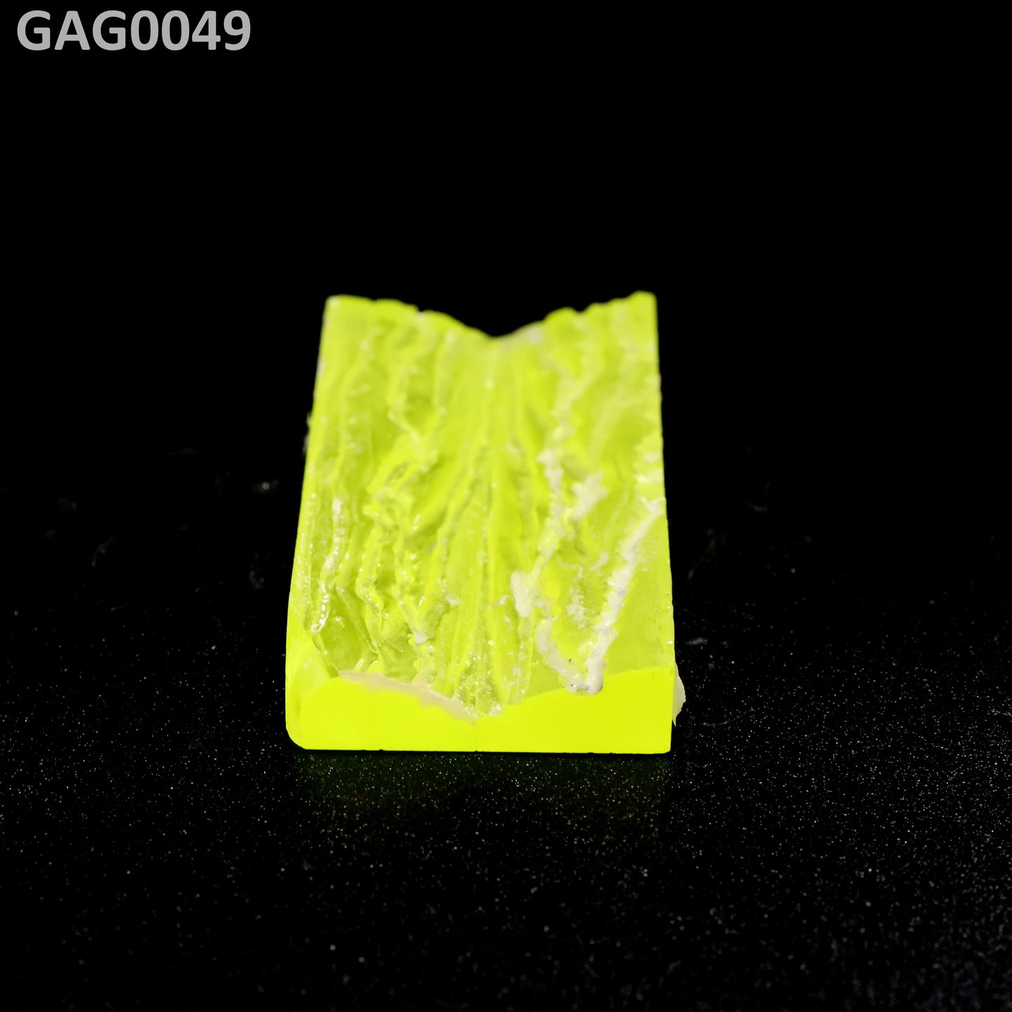 GAGG : GAG0049