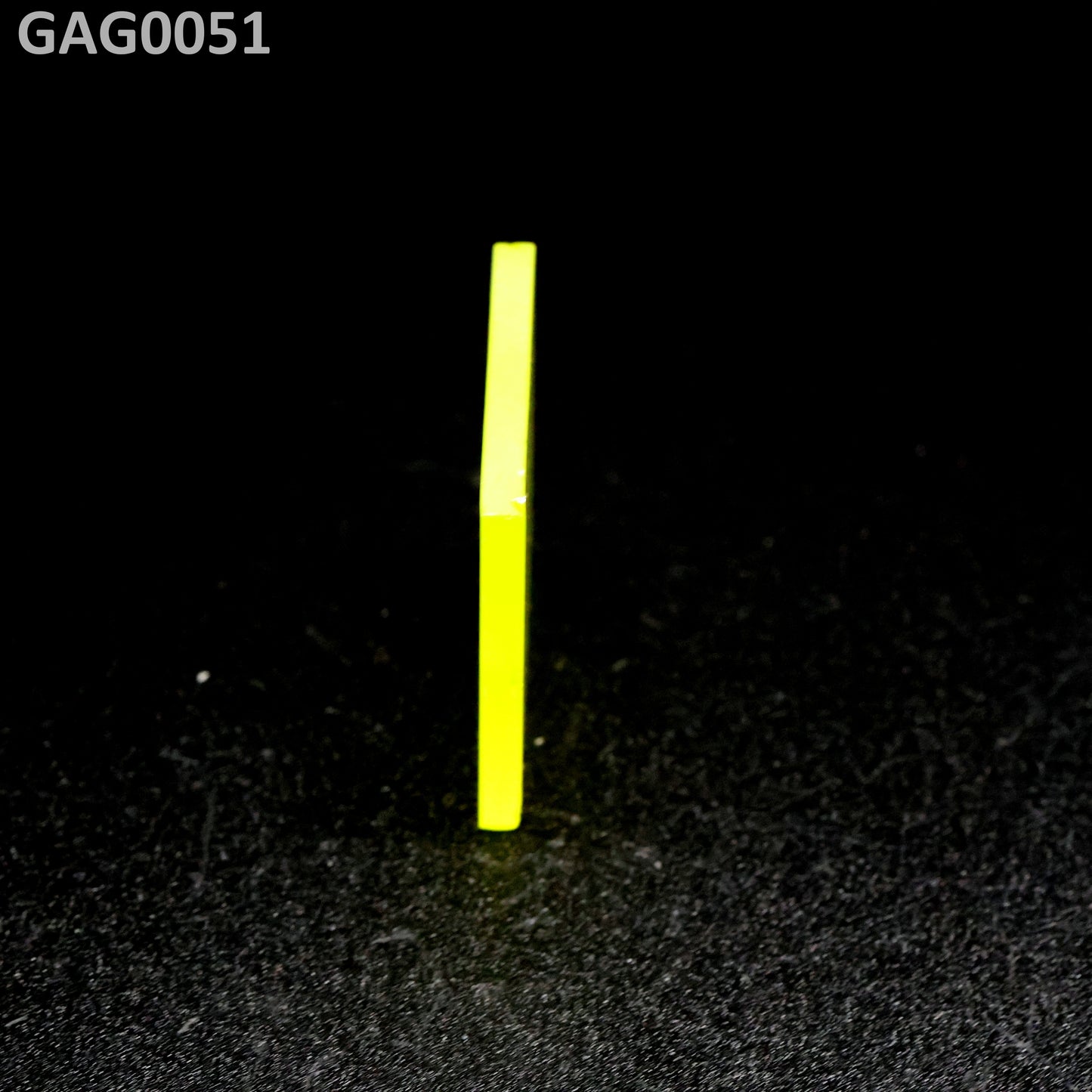 GAGG : GAG0051