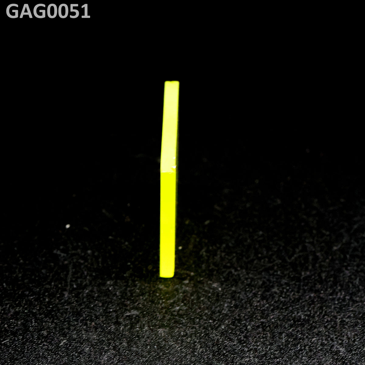 GAGG : GAG0051