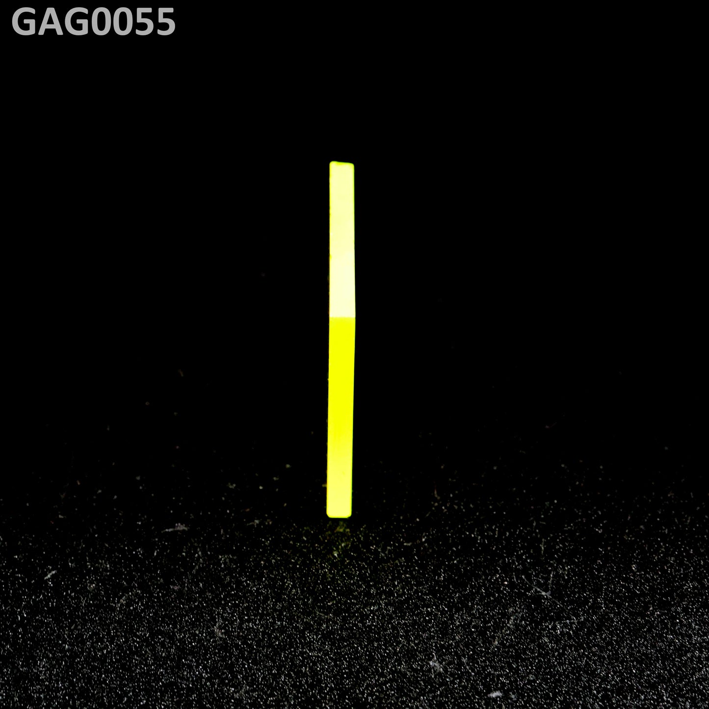 GAGG : GAG0055