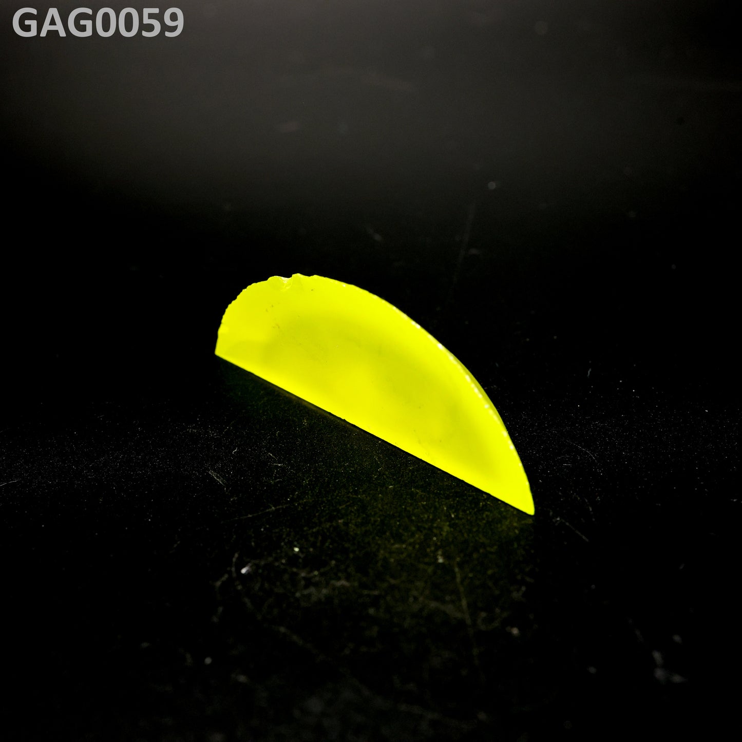 GAGG : GAG0059