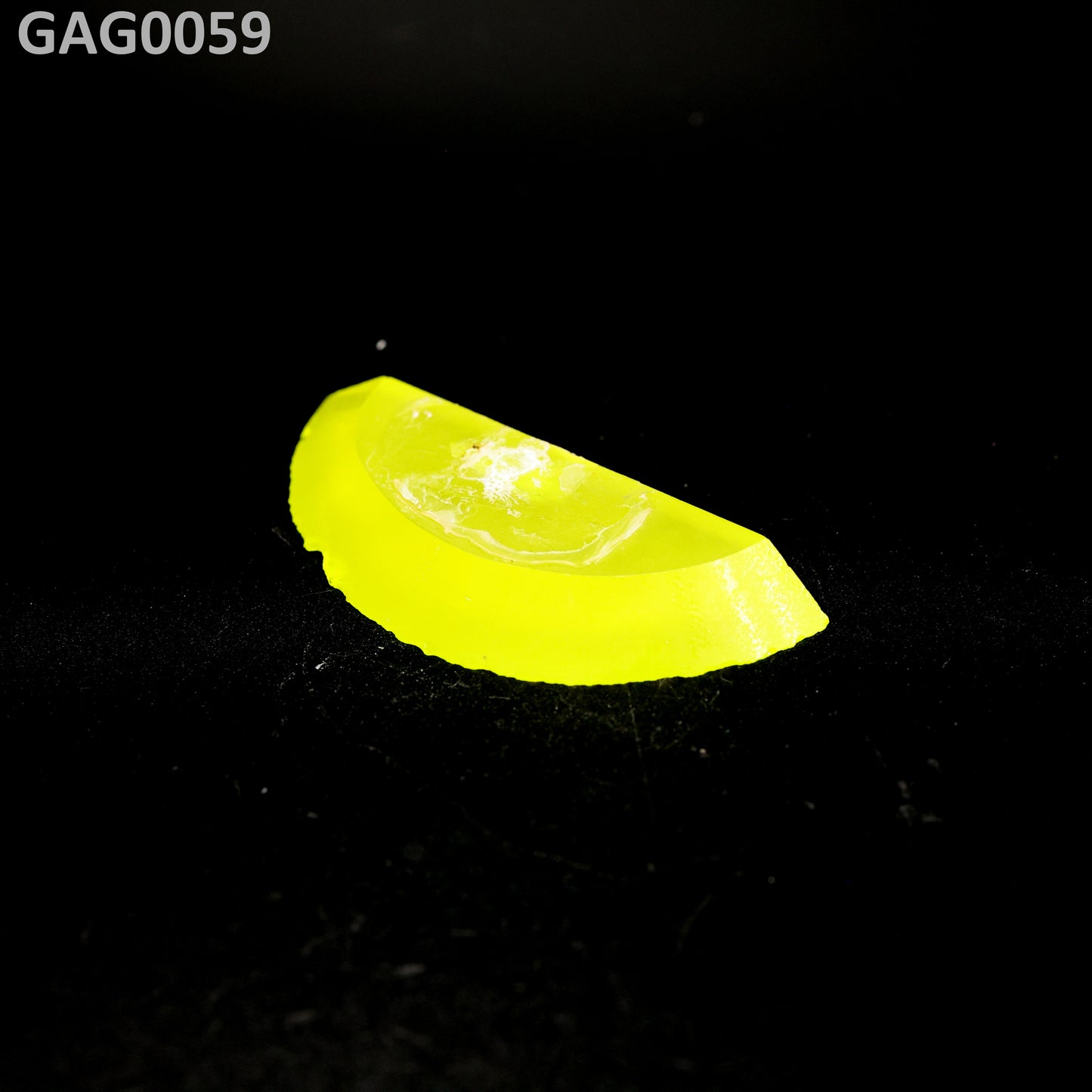 GAGG : GAG0059