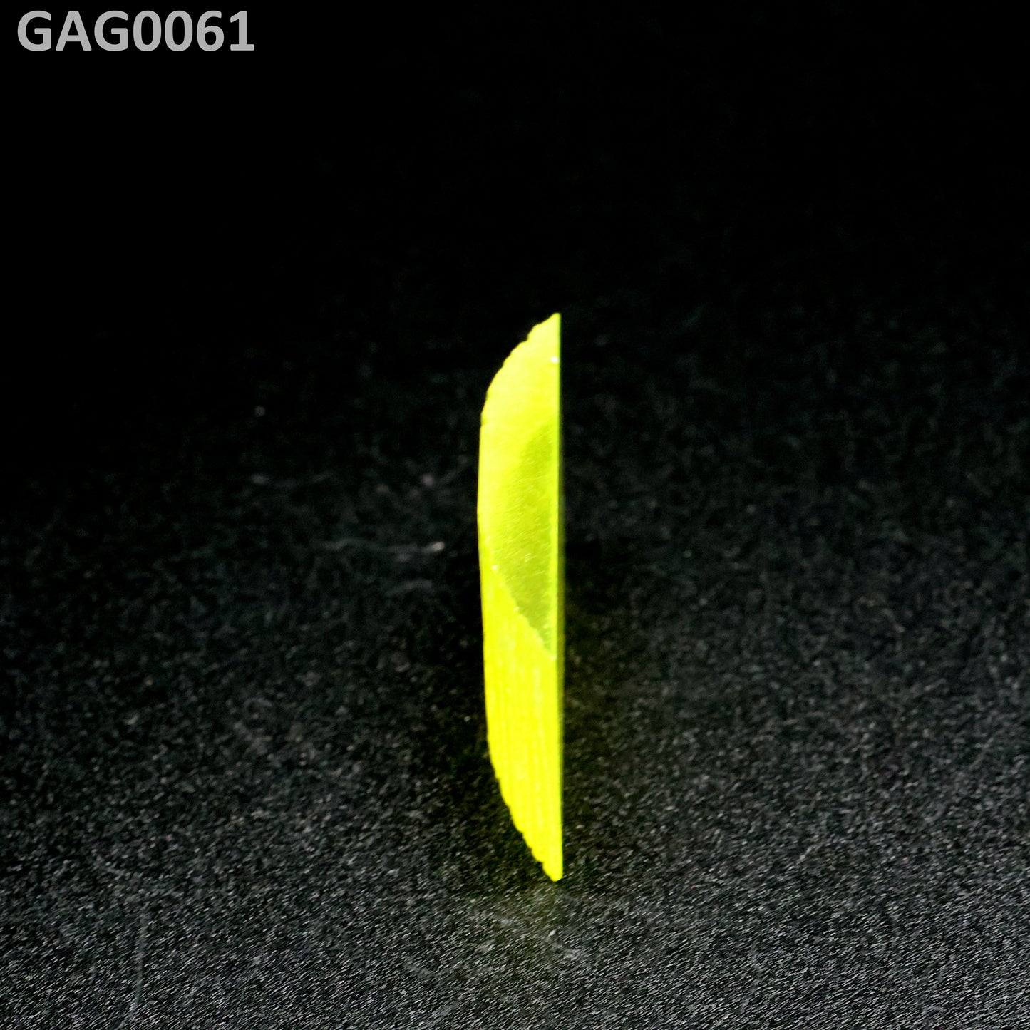 GAGG : GAG0061