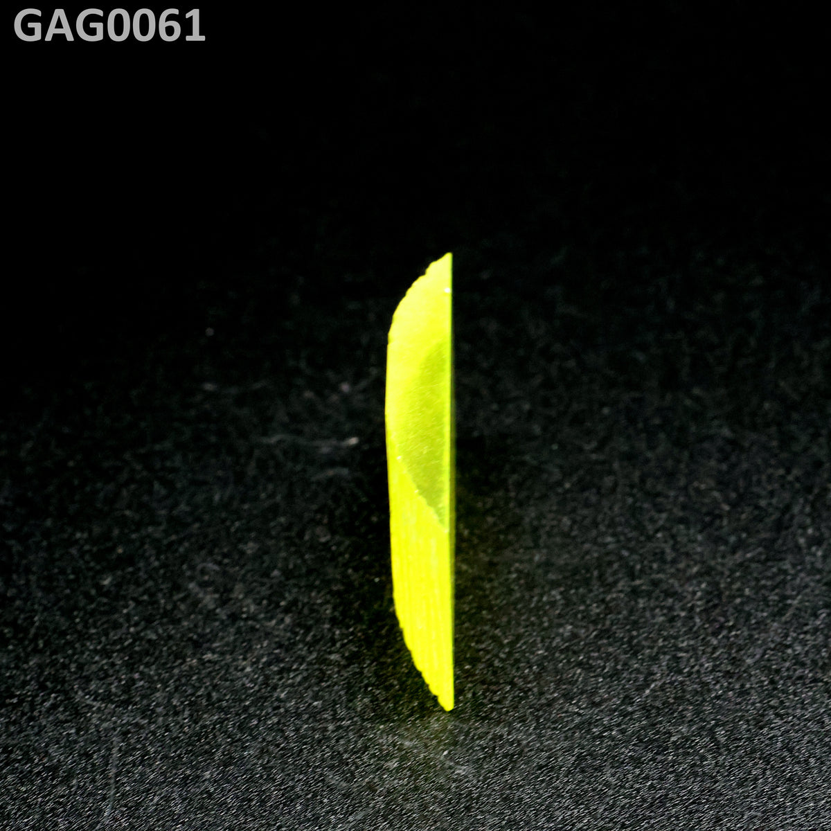GAGG : GAG0061