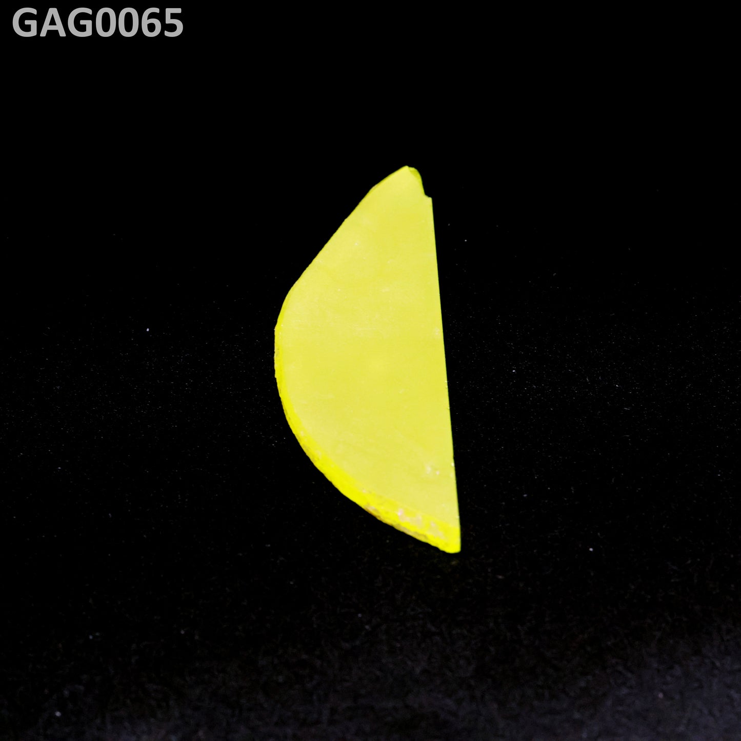 GAGG : GAG0065