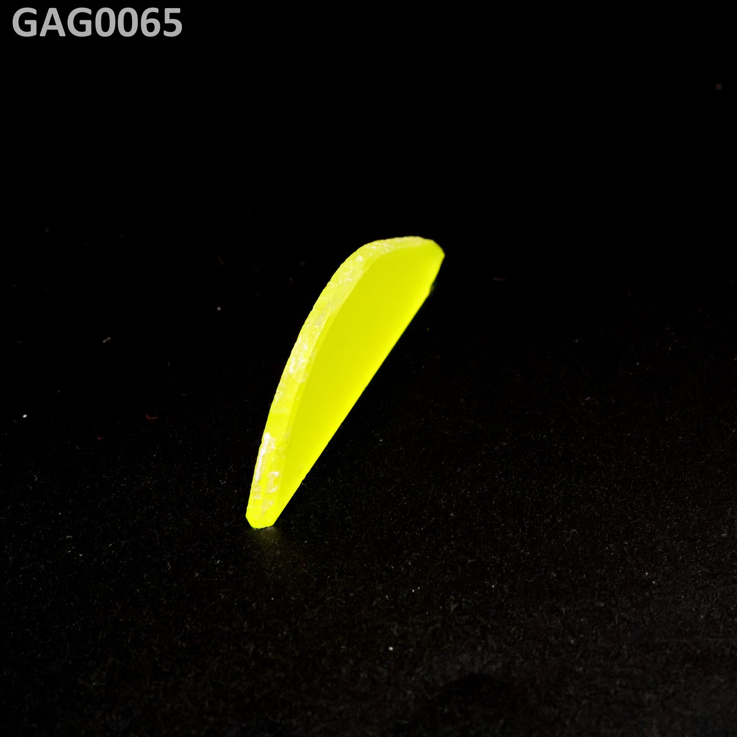 GAGG : GAG0065