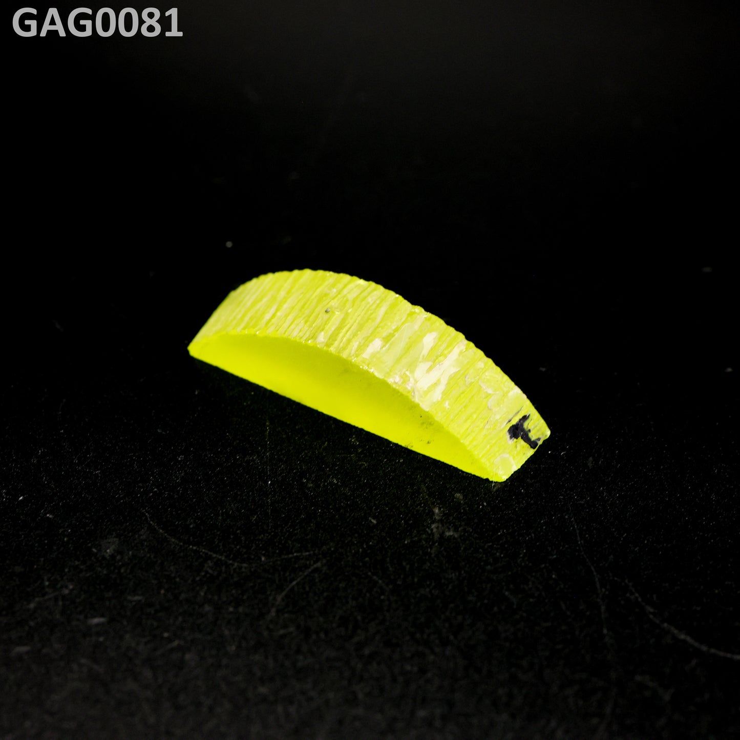 GAGG : GAG0081
