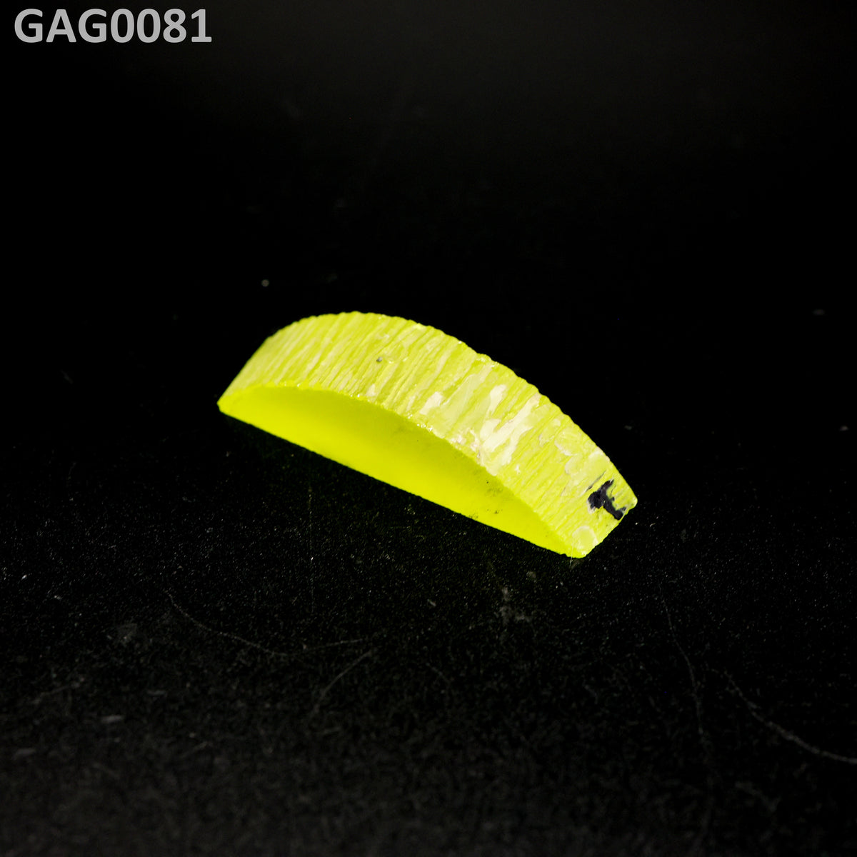 GAGG : GAG0081