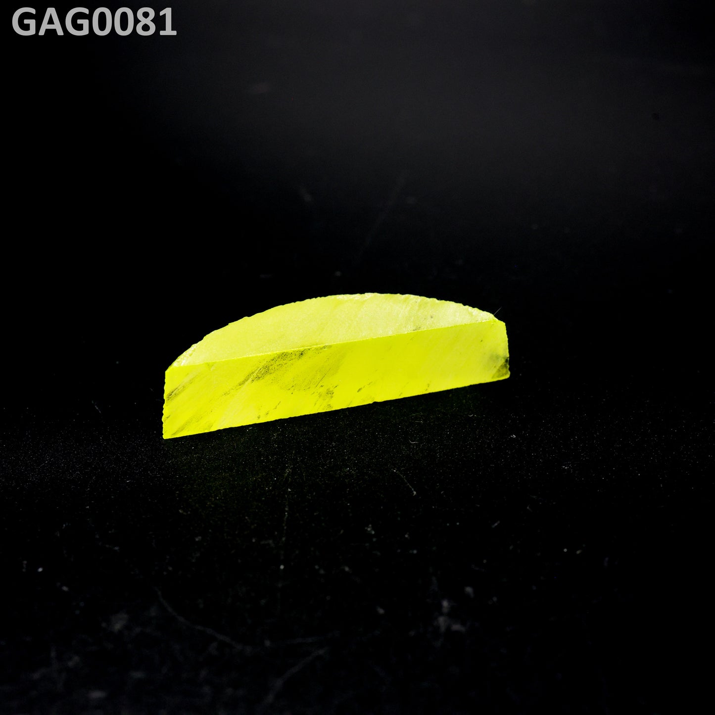 GAGG : GAG0081