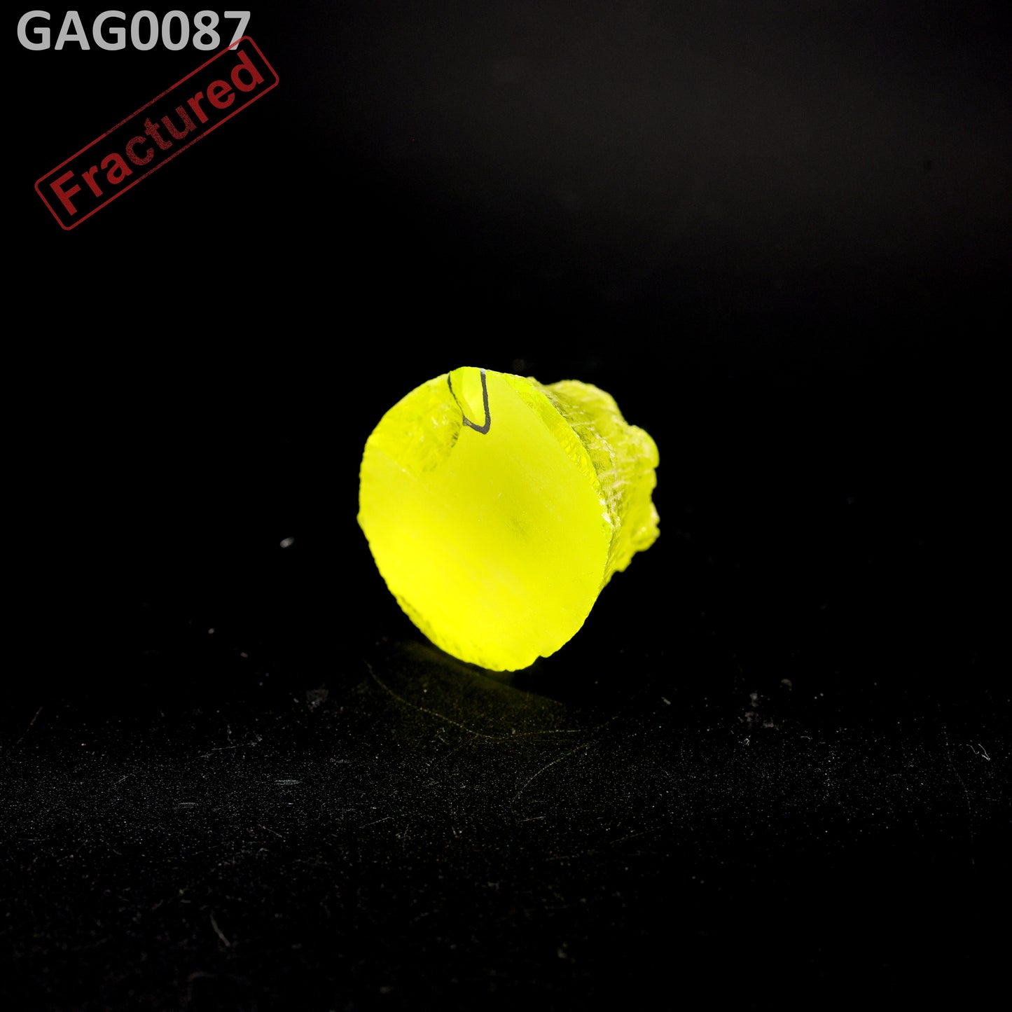 GAGG : GAG0087
