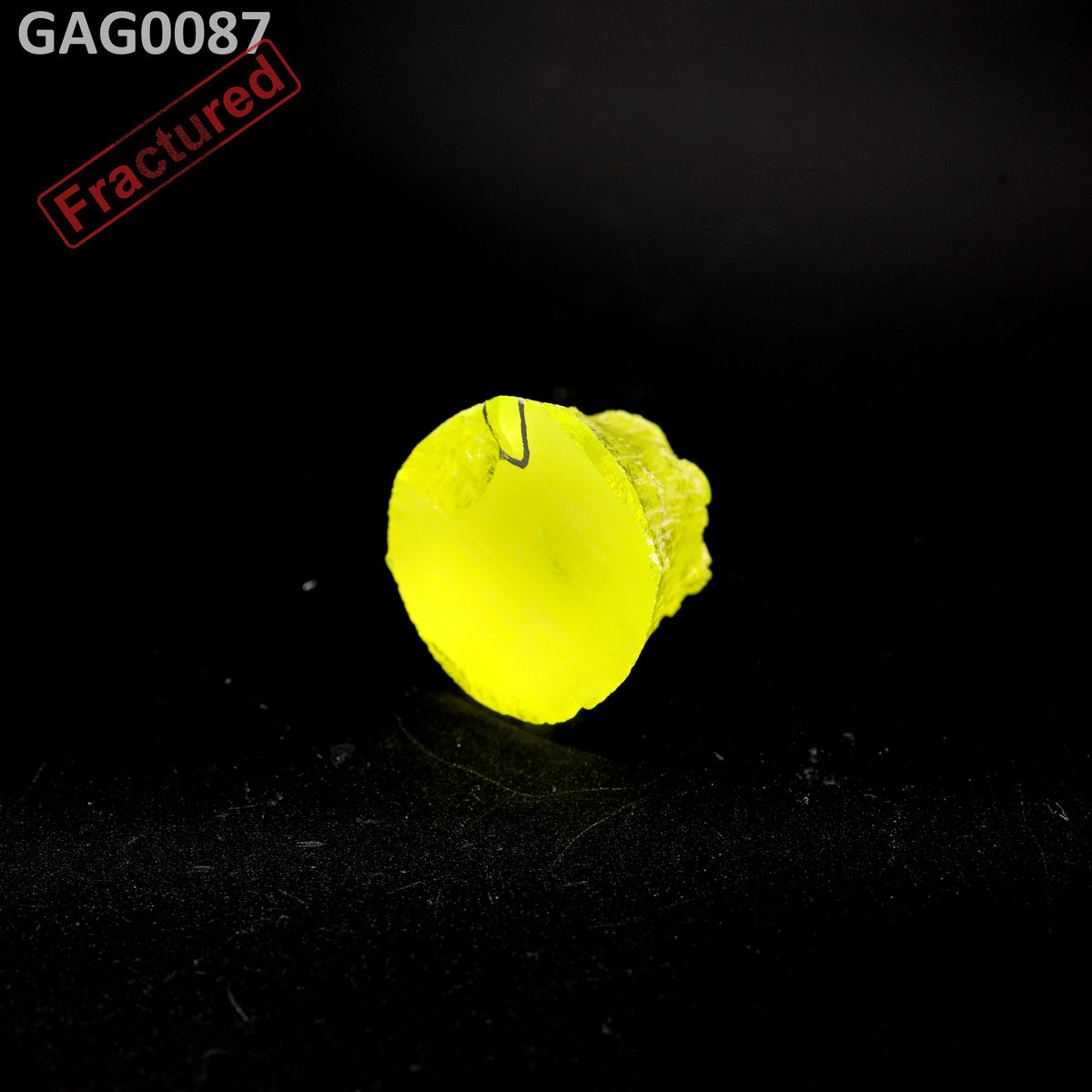 GAGG : GAG0087