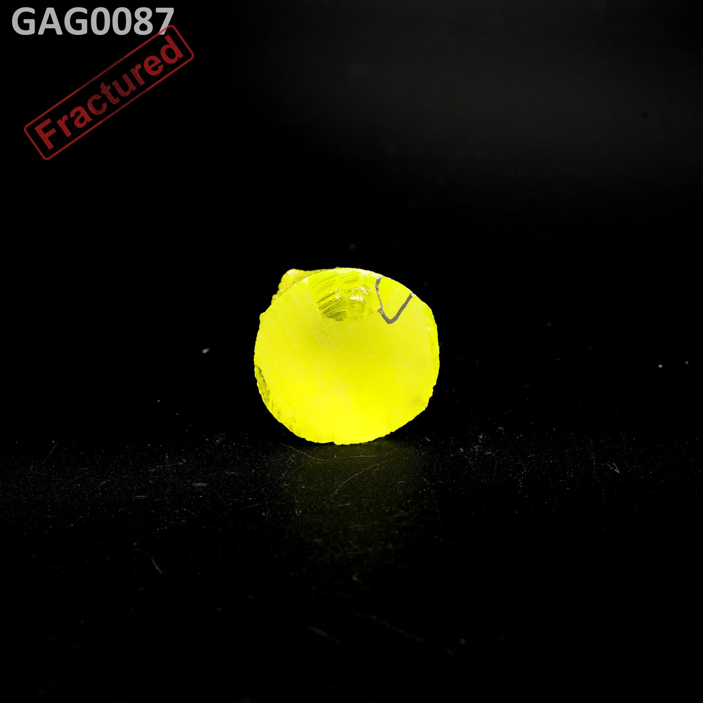 GAGG : GAG0087