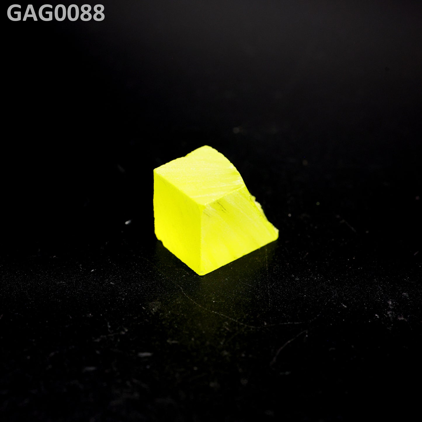 GAGG : GAG0088