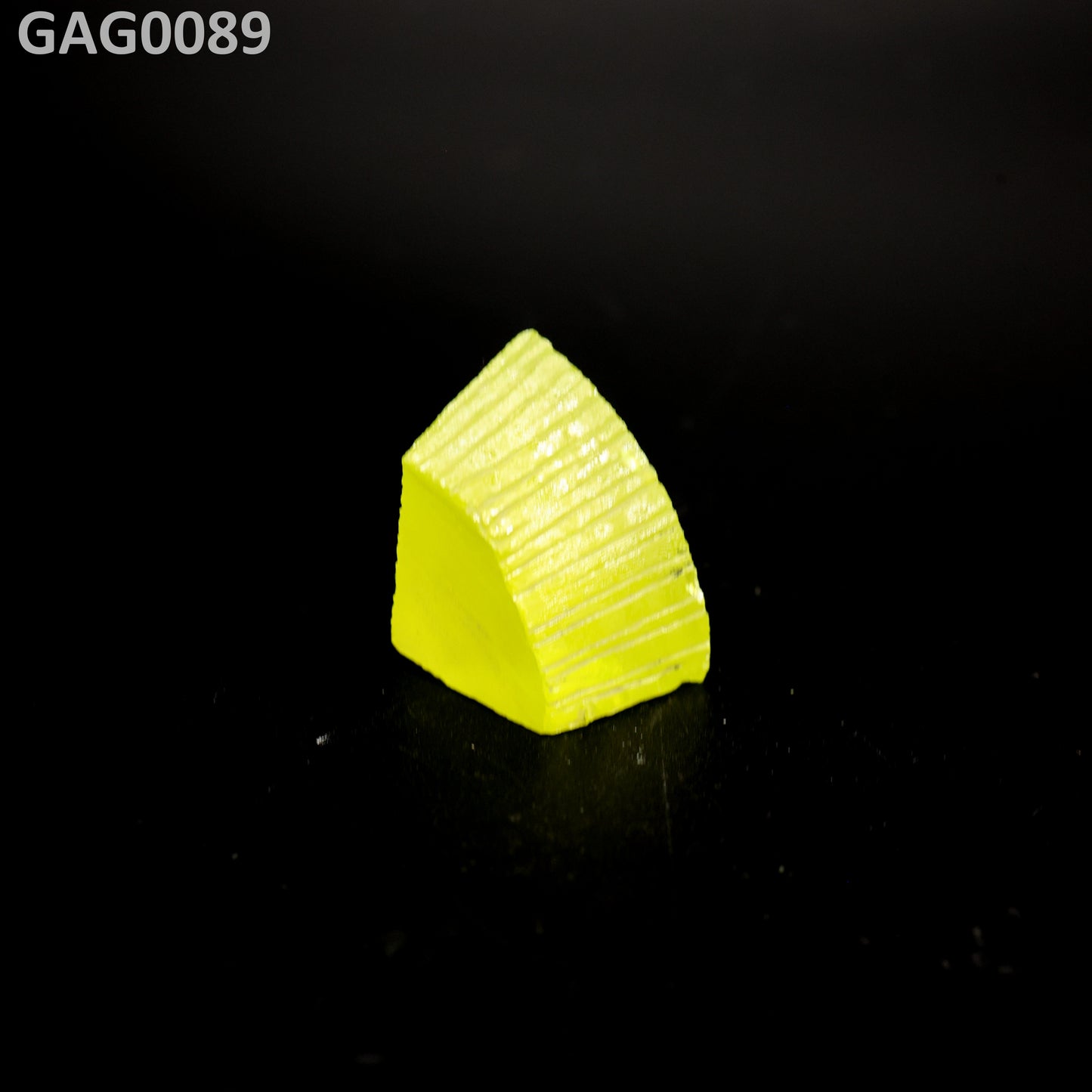 GAGG : GAG0089