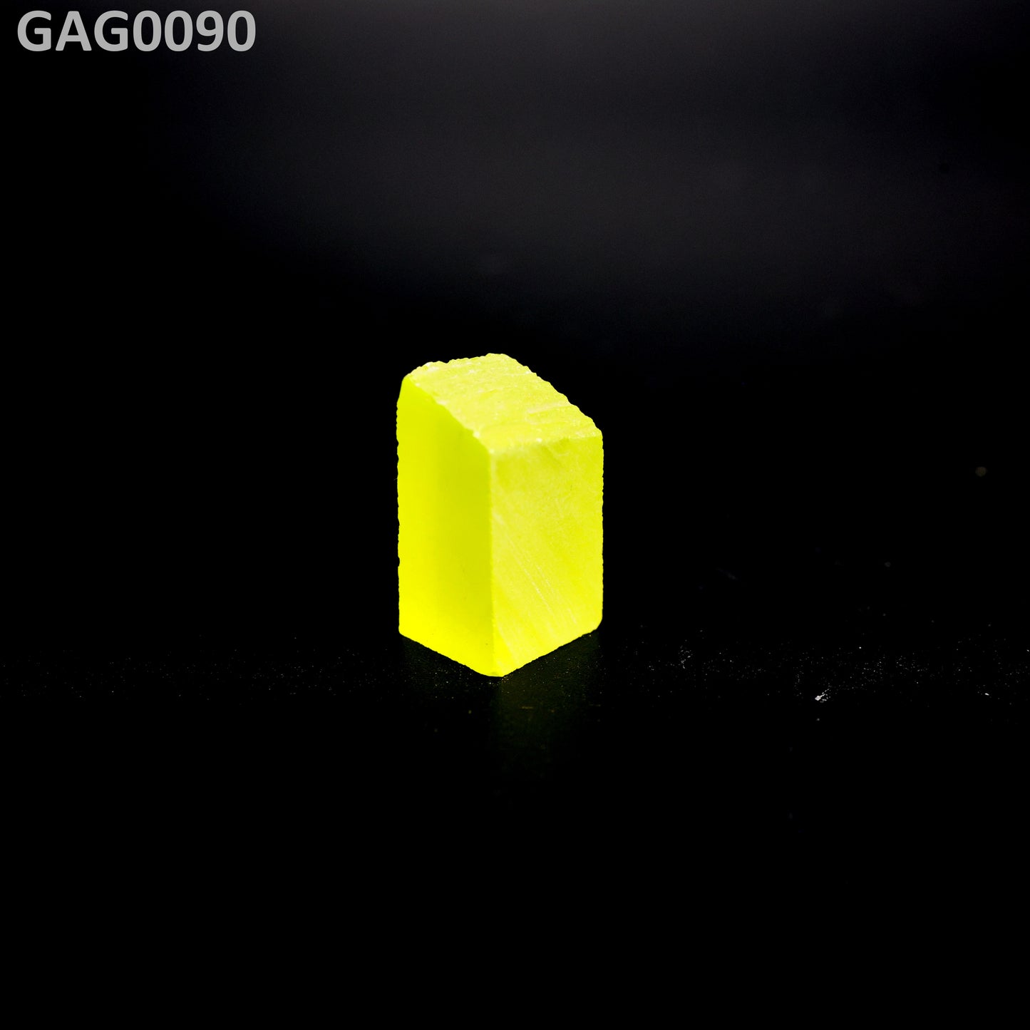 GAGG : GAG0090