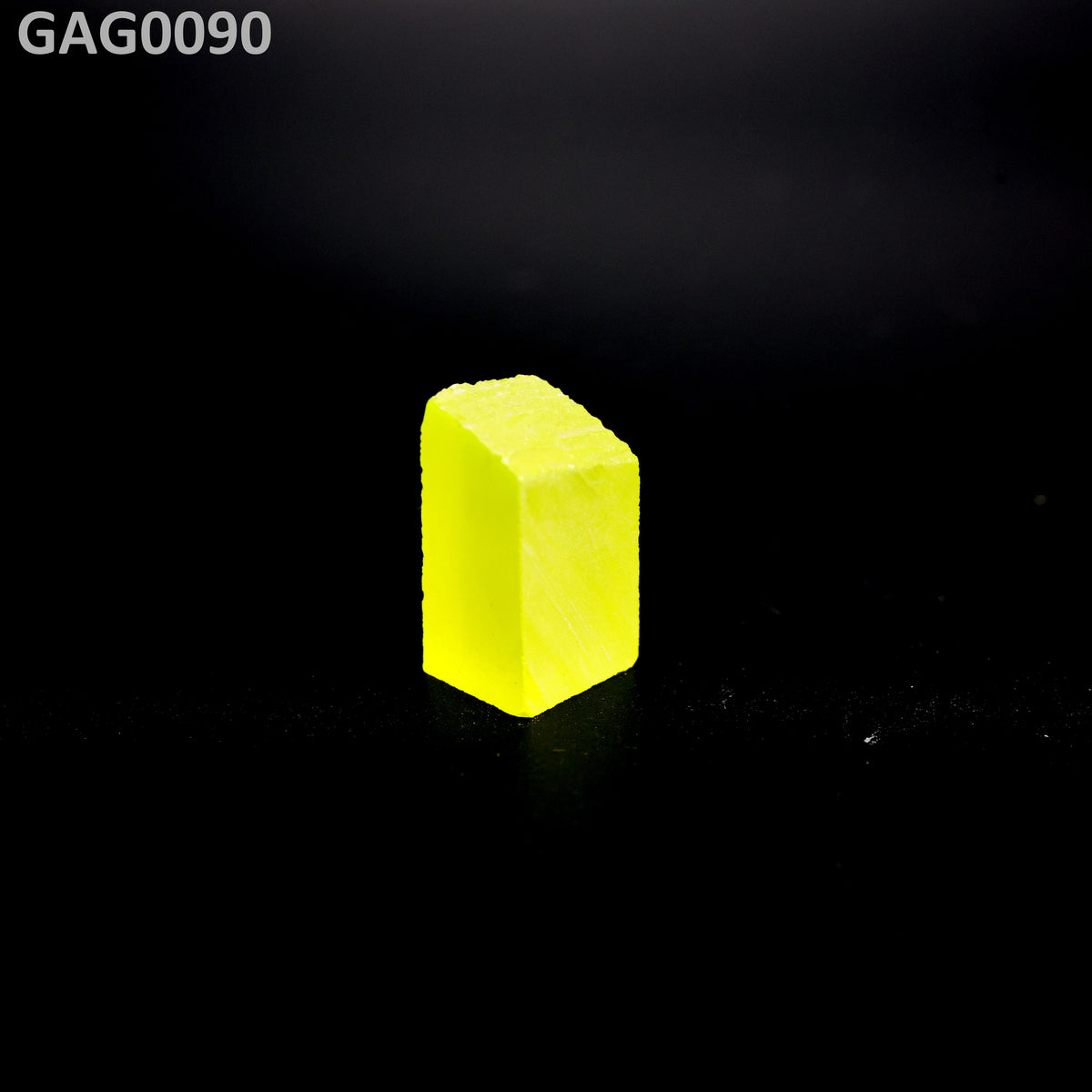GAGG : GAG0090