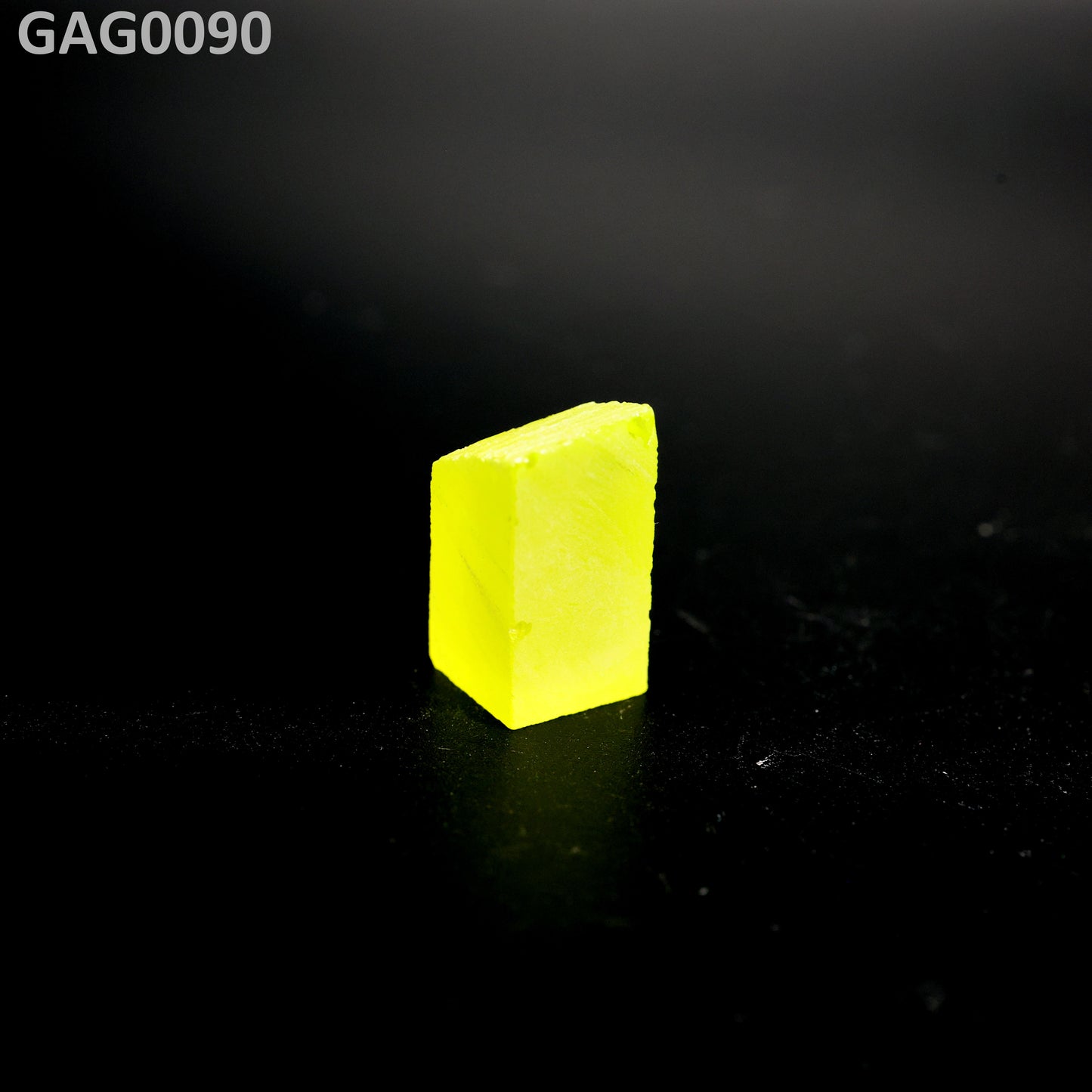 GAGG : GAG0090