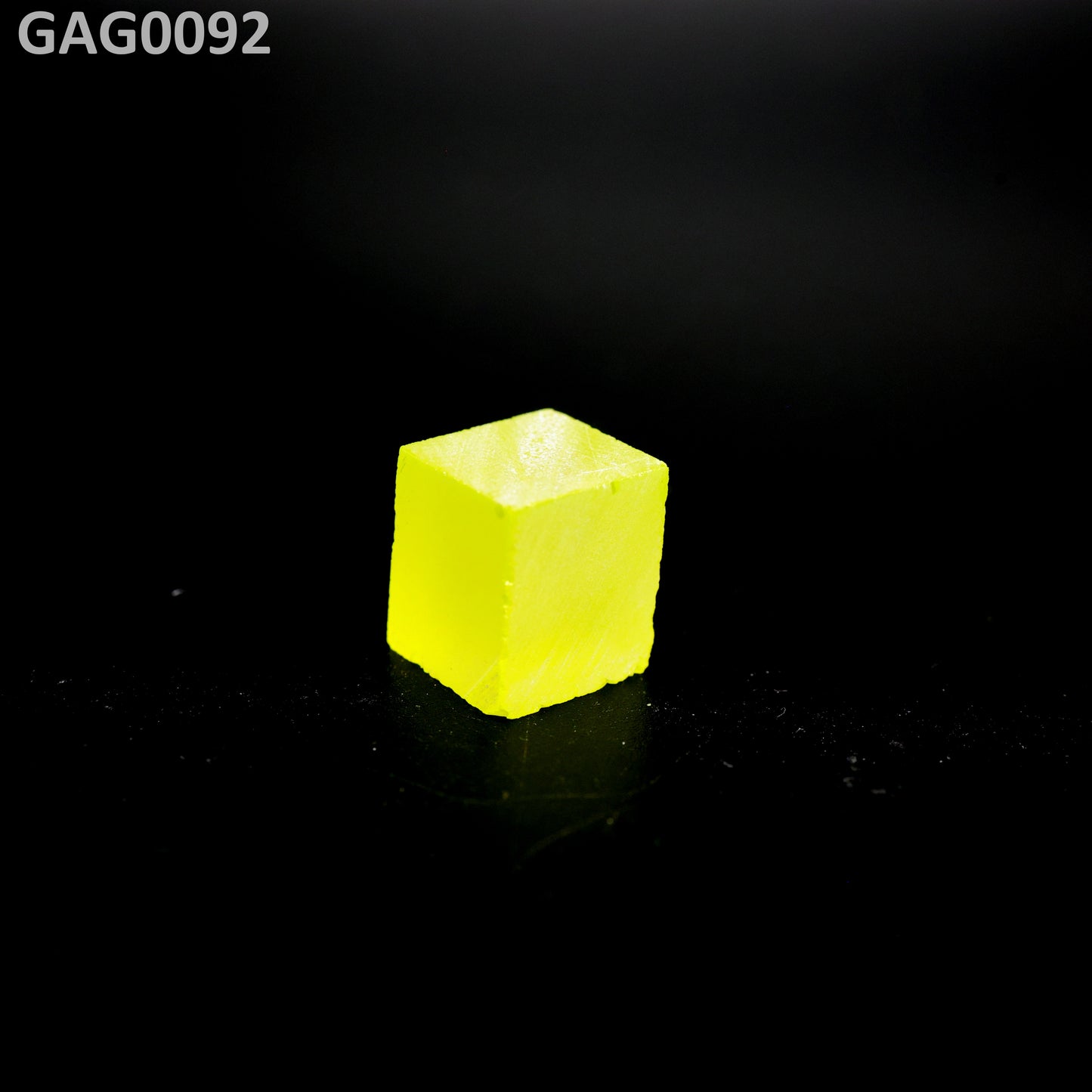 GAGG : GAG0092