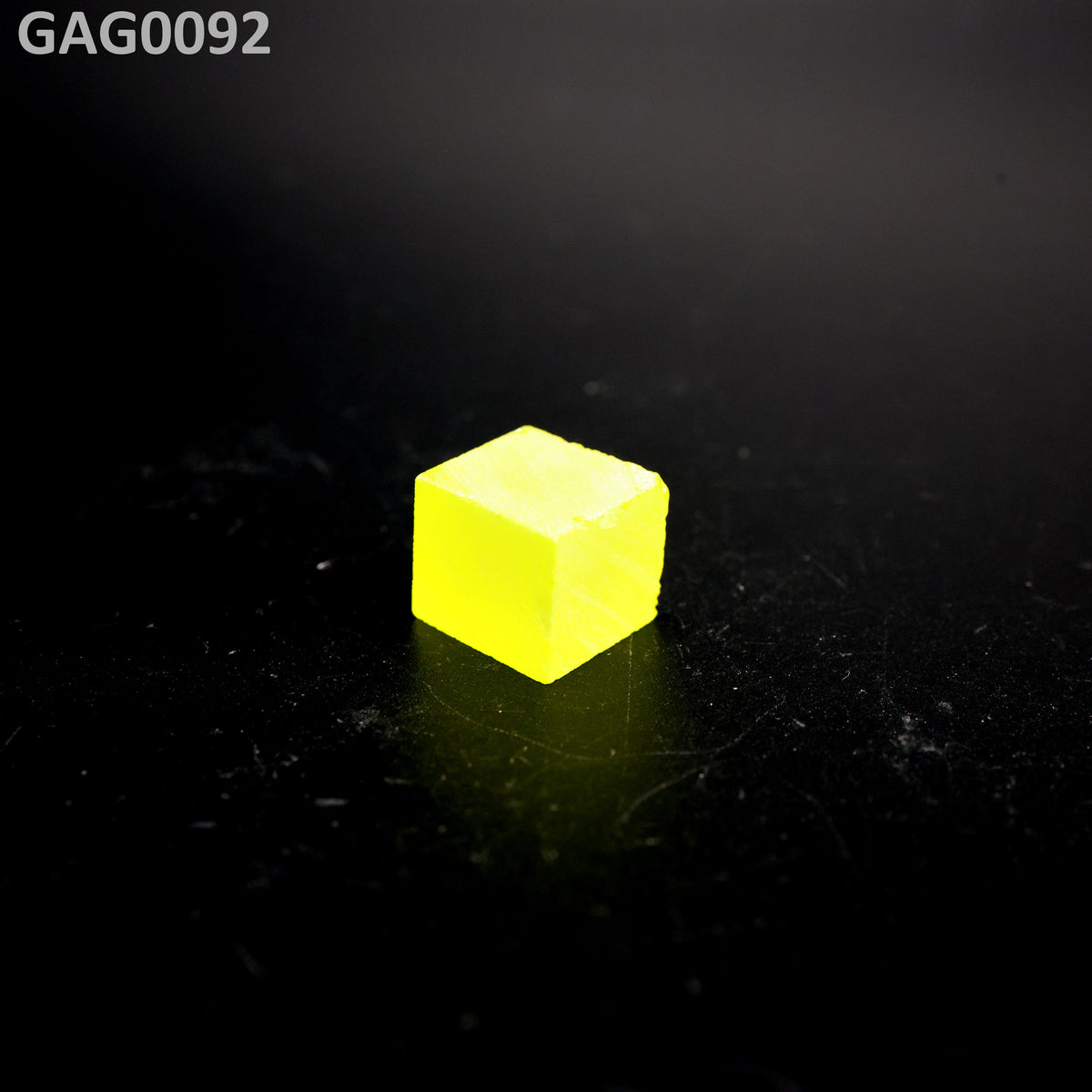GAGG : GAG0092