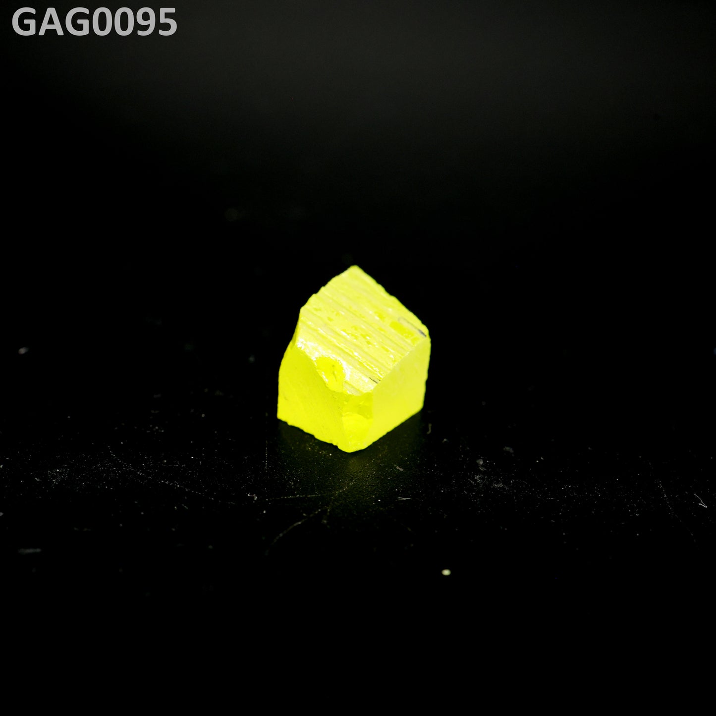 GAGG : GAG0095