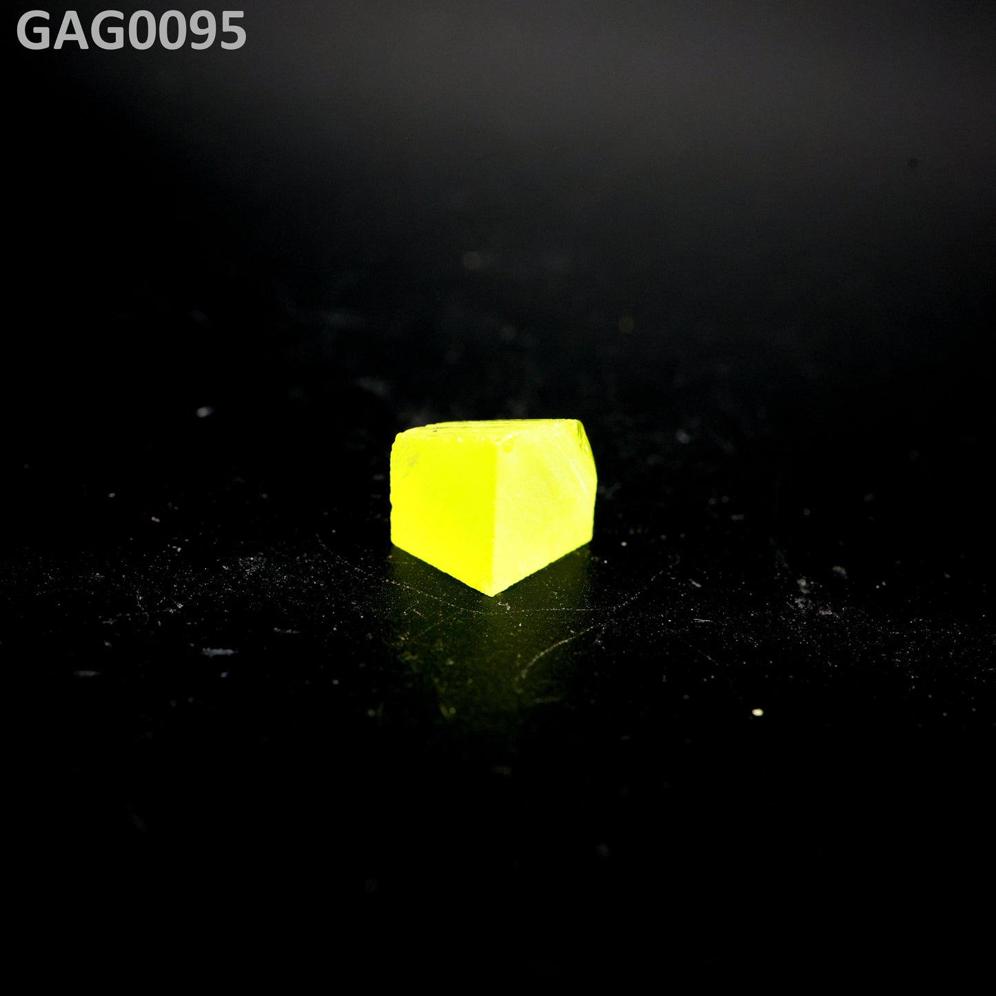GAGG : GAG0095