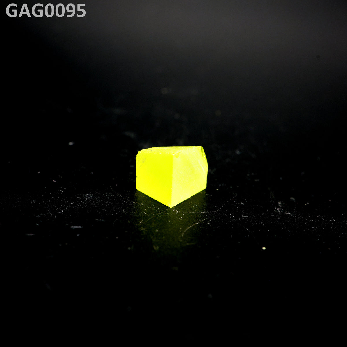 GAGG : GAG0095