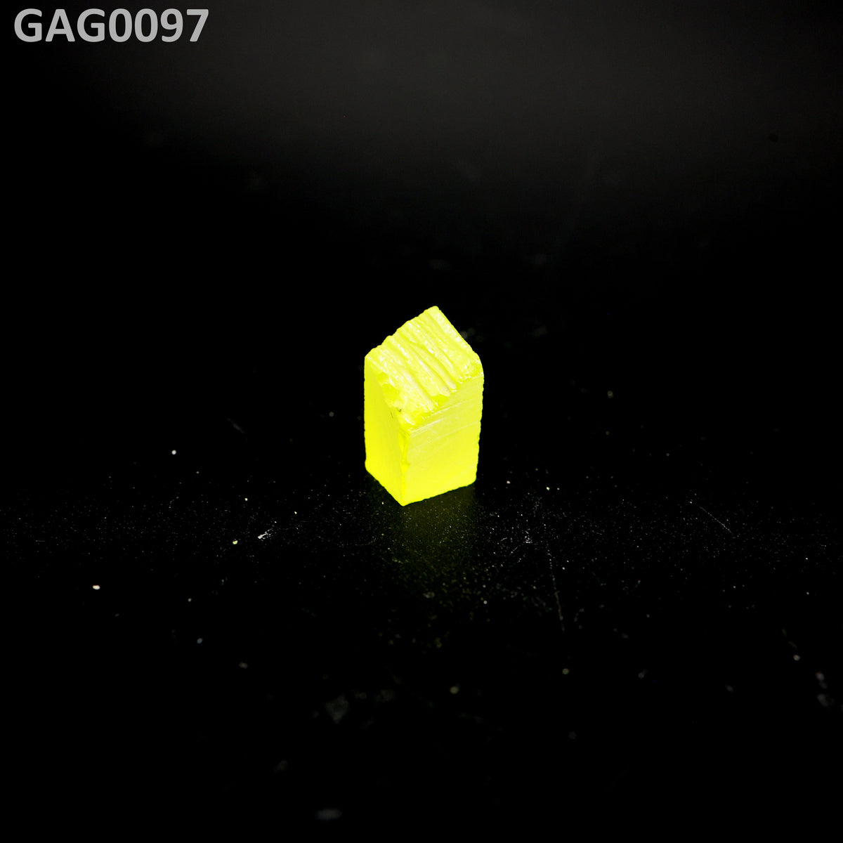GAGG : GAG0097