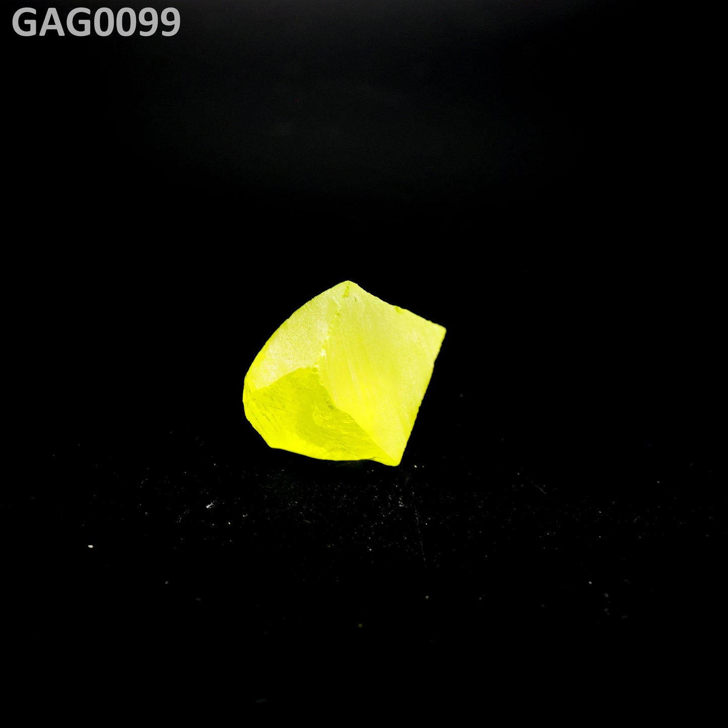 GAGG : GAG0099