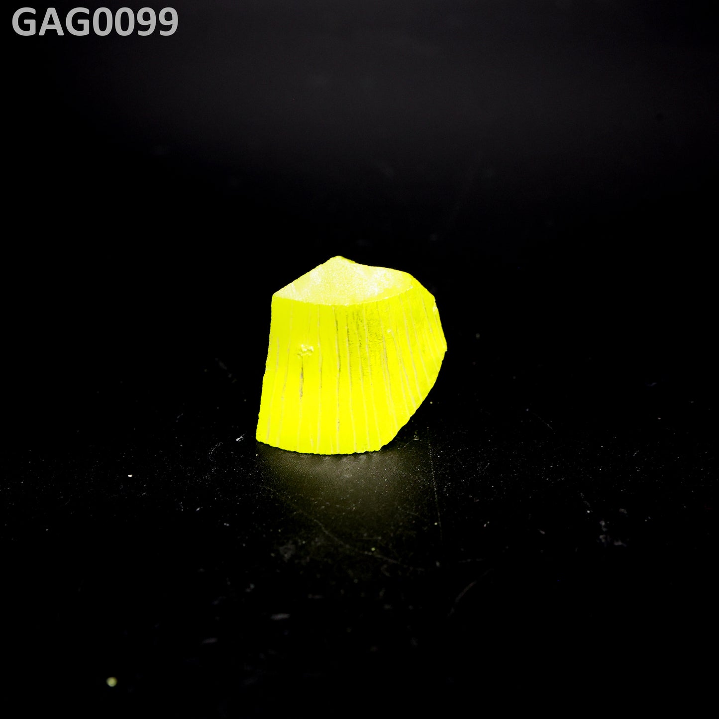 GAGG : GAG0099